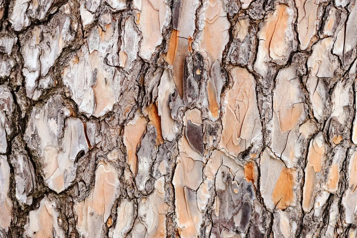 Element Holz